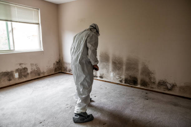 Best Bathroom Mold Remediation in Darrington, WA