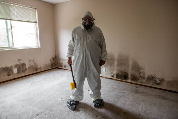 Best Mold Remediation for Specific Building Types in Darrington, WA